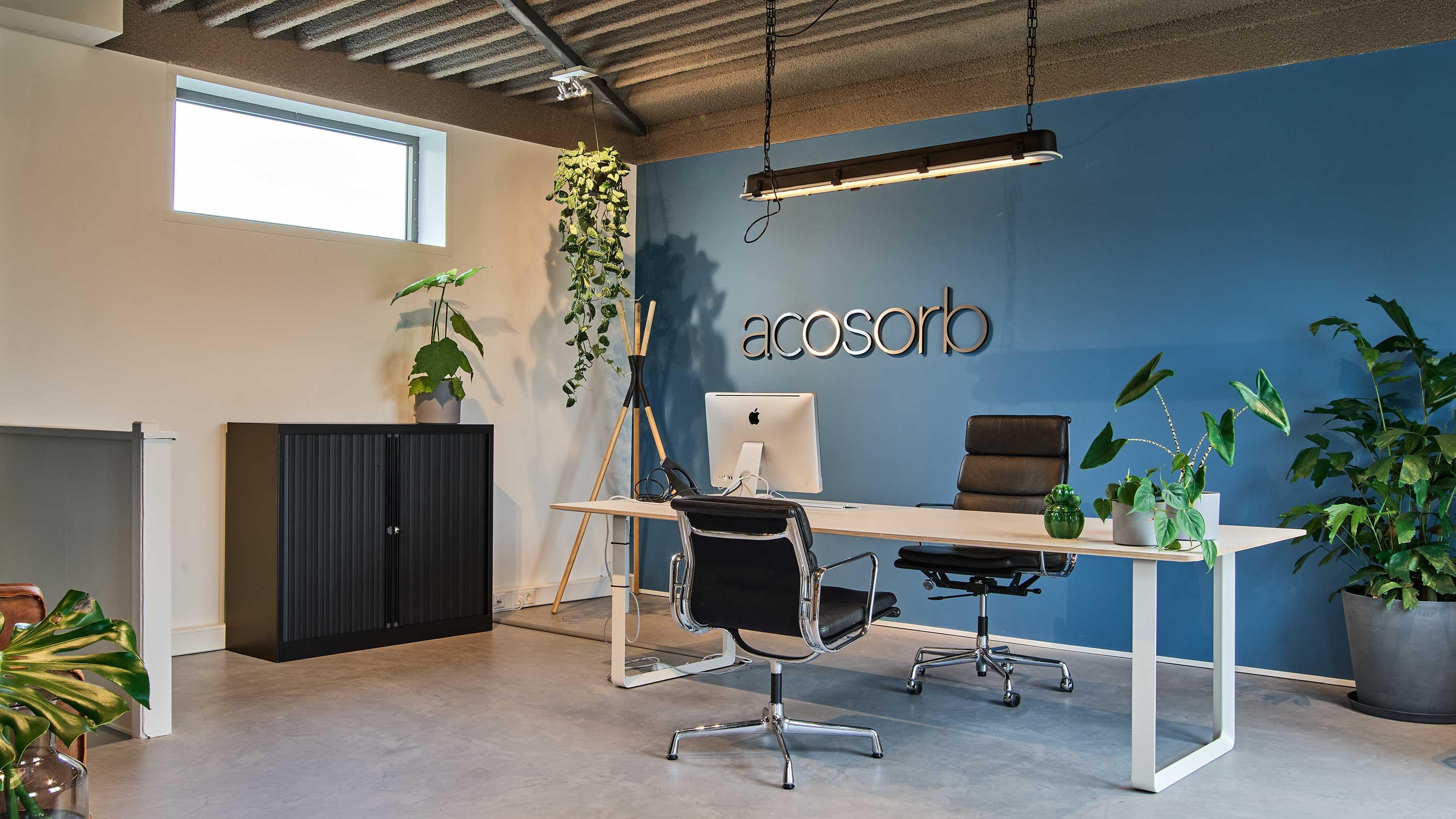 Modern office with Acosorb acoustic ceiling panels and minimalist design
